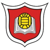 主队