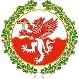 主队