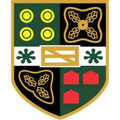 主队